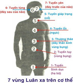 Bài tập Suối nguồn tươi trẻ Bài tập Suối nguồn tươi trẻ